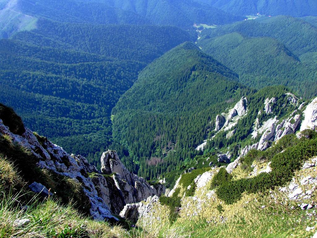 Pensiunea La Ionica Dîmbovicioara Exterior foto
